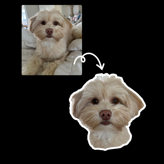 Custom Pet Sticker - Designs by Smiley