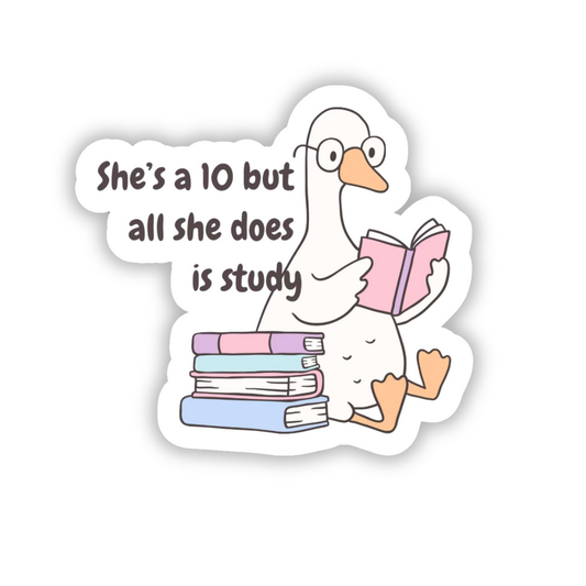 Funny academic-themed vinyl sticker with a cartoon goose reading books and the text “She’s a 10 but all she does is study.” White background with pastel blue, pink, and purple books.